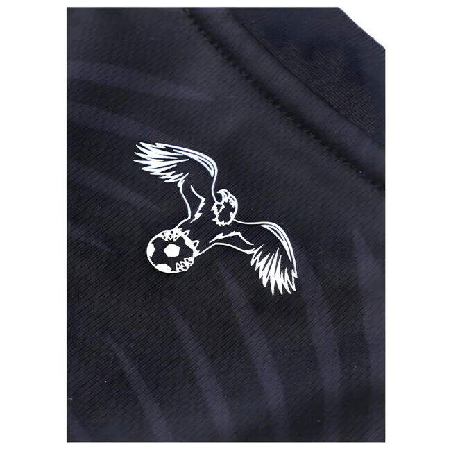 2024-2025 Jordan Third Shirt