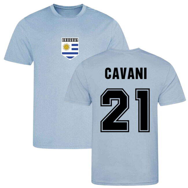 Uruguay National Squad Sleek Home Soccer Jersey (1)