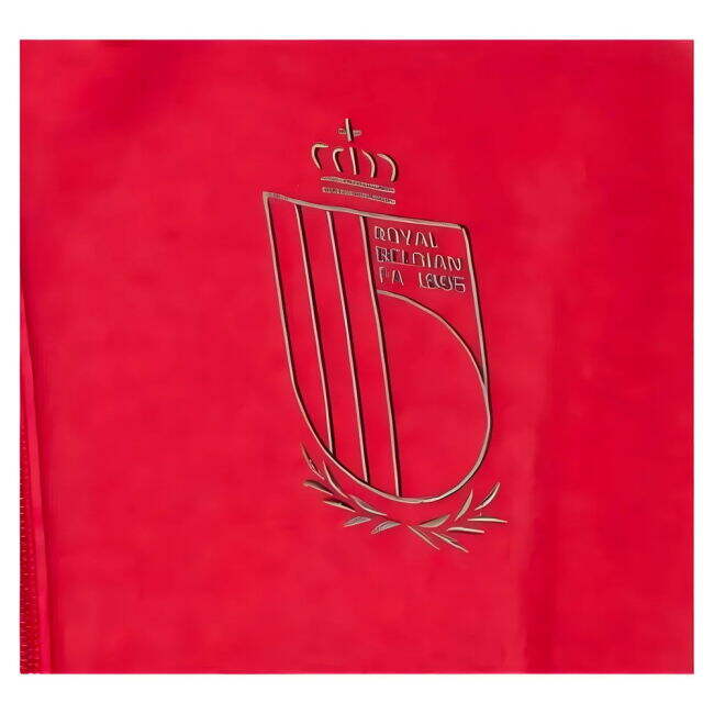 High Quality Belgium 2024-2025 Hoody Kit