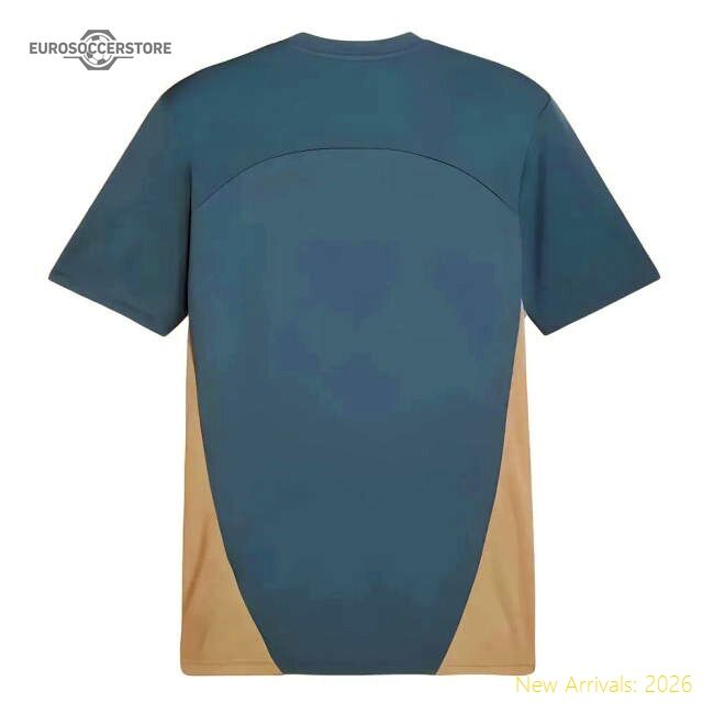 Genuine High-Quality 2024-2025 Marseille Training Shirt (Bold Blue)