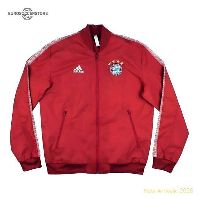 Elite Bayern Munich 2019-20 Training Jacket ((excellent) M)