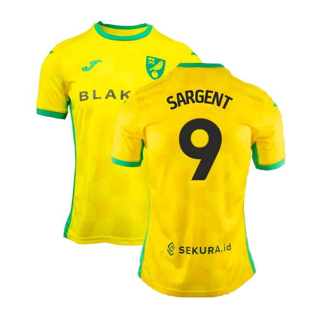 Norwich 2024-2025 Home - Professional Fan Edition Edition