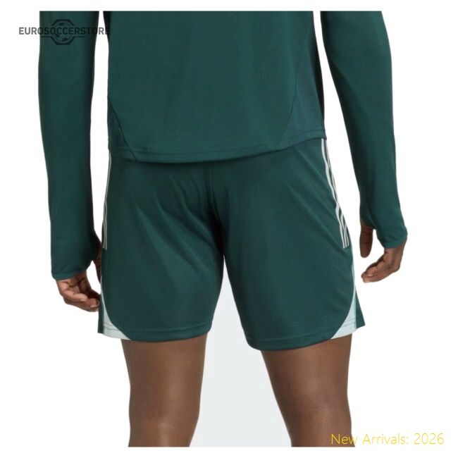 Official 2025-2026 Arsenal Training Shorts (aurora Ivy) - Premium