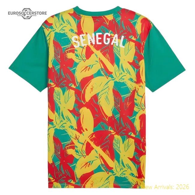 Pro Senegal Prematch 20242025 Regular Jersey Classic Breathable