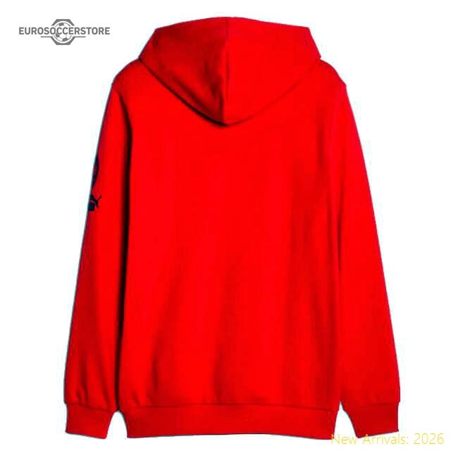 Genuine 2023-2024 Ac Milan Ftblcore Graphic Hoody (Red)