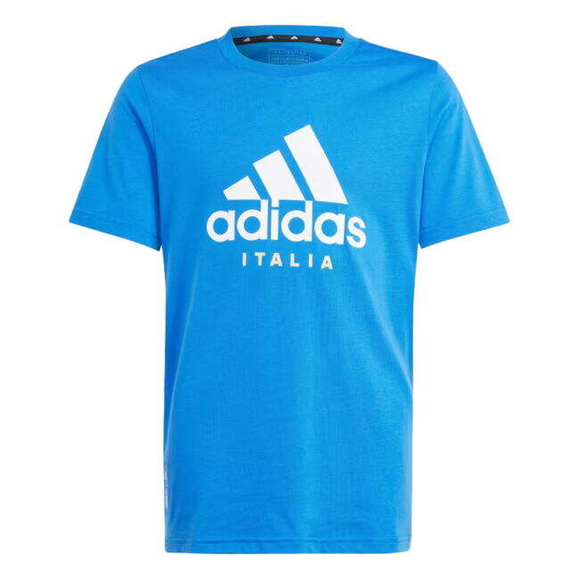 Genuine 2024-2025 Italy Home Jersey (Kids)