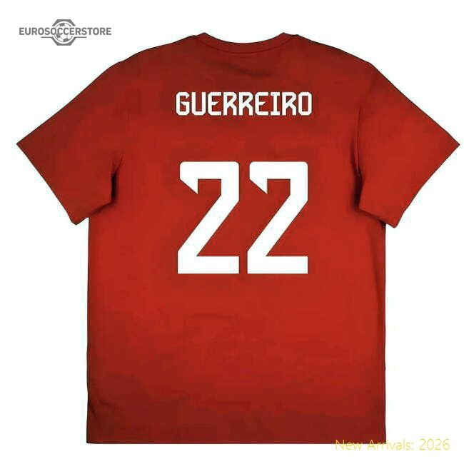 First-class 2025-2026 Bayern Munich Seasonal Graphic Tee (red) (gue