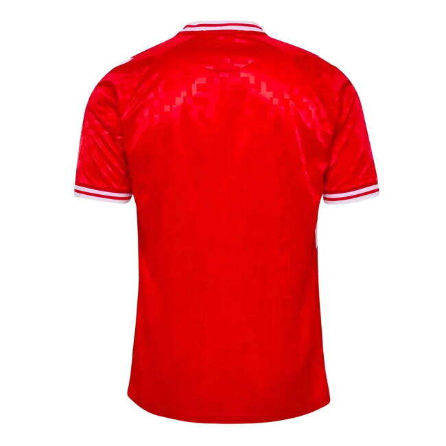 Licensed Copy Denmark Home Supporter Shirt for Adults