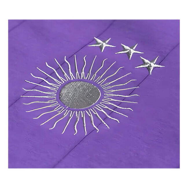 Performance-Driven Fan-Favorite Argentina Messi El Sol Goat Purple