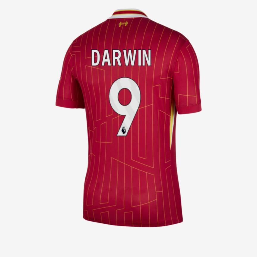 Darwin's Liverpool 9 Home Jersey for the 24-25 Season