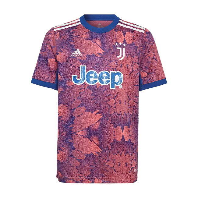 Third Shirt for Juventus 2022-2023 (Youth