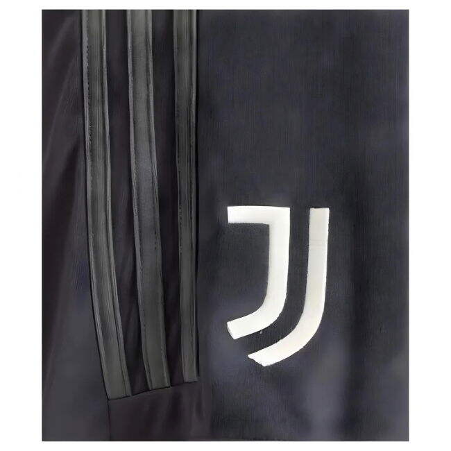 Juventus Official 2023-2024 Third Soccer Jersey - Team Spirit