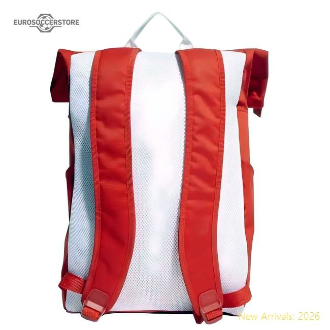 2022-2023 Bayern Munich Backpack (red) - Economical - Concept Creation
