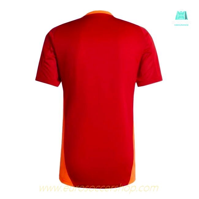 2024-2025 Bayern Munich Training Shirt (Red)