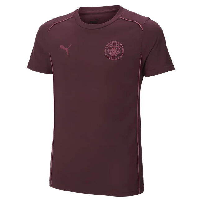 Man City Senior Team Top Tier Home Elite Kit (1)