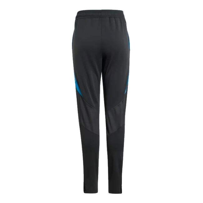 Aero-Dynamic Pro-Grade 2024-2025 Argentina Training Pants (Carbon) -