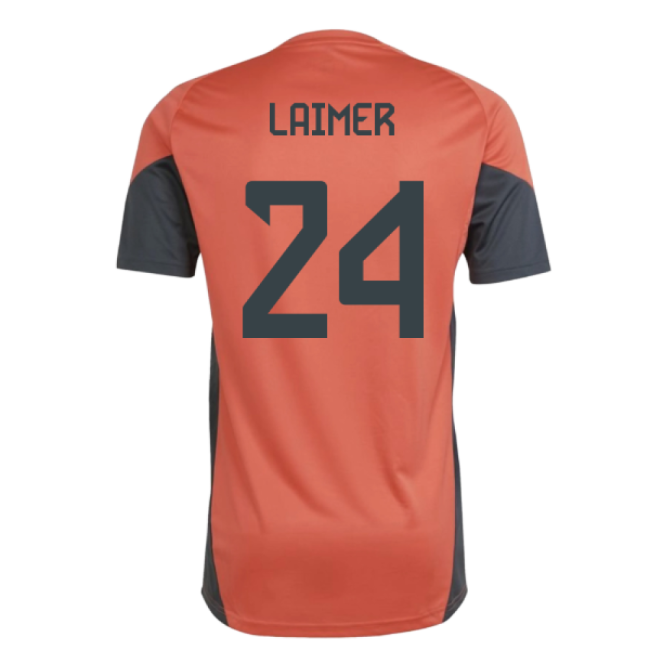 Laimer 24 2025-2026 Bayern Munich Soccer Club Training Shirt (1)