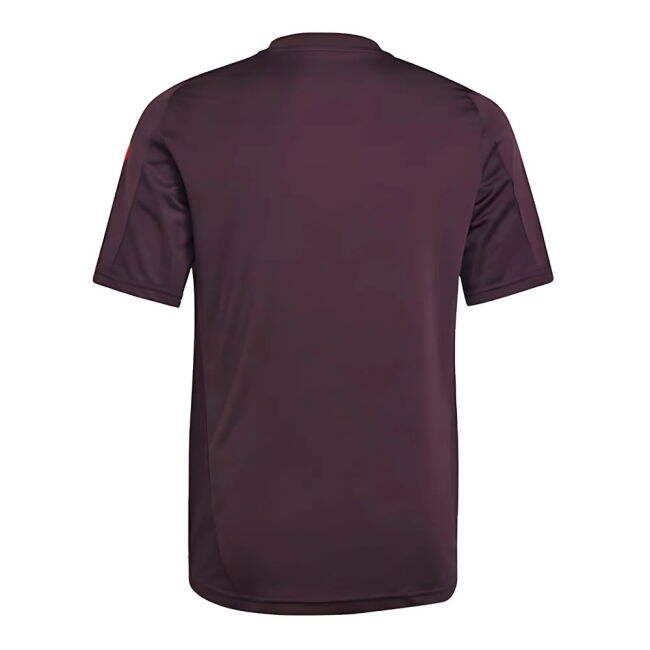 Bayern Munich Stylish Jersey 2024-2025