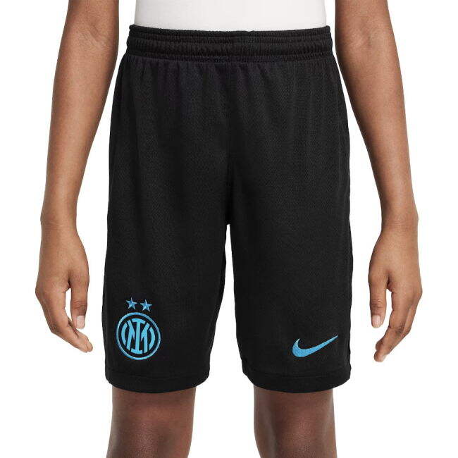 Inter Milan Performance Home Jersey 2025-2026