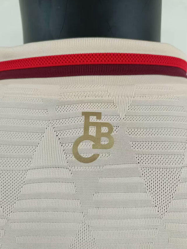 Bayern Munich 2425 Third Shirt - Official Replica 12623