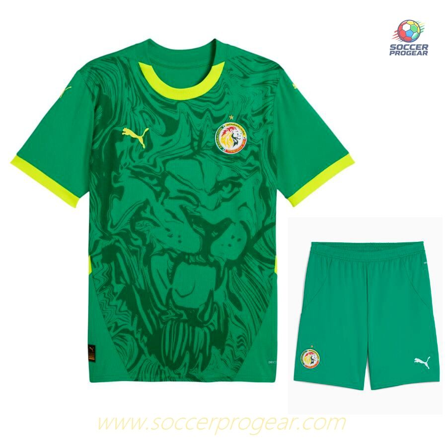 Senegal Away Kids Soccer Uniform Football Jersey 2024/25 Collection