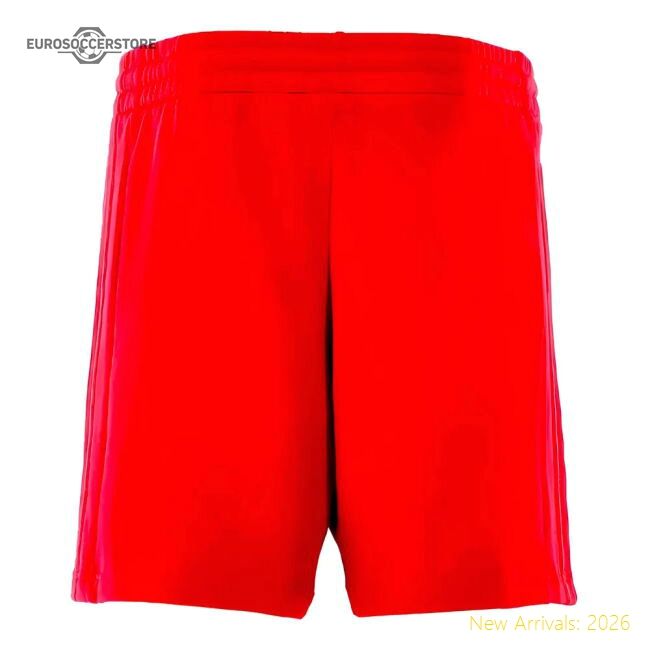 Luxury 2024-2025 Bayern Munich Dna Shorts (red) - Unique Style