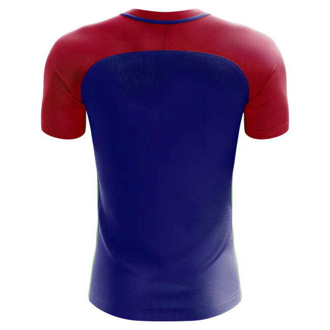 Haiti Performance Home Jersey 2025-2026