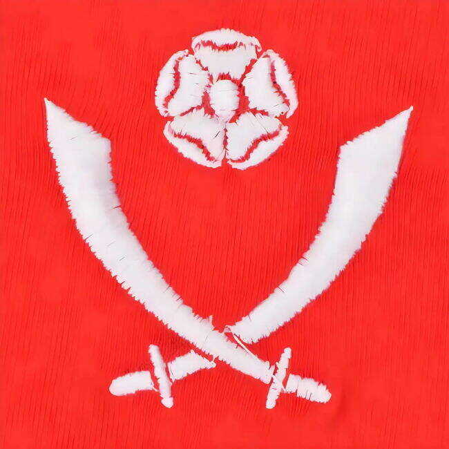 2025-2026 Belgium Flag Concept Football Shirt (Januzaj 28)