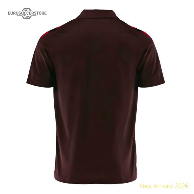 Premium-grade 2024-2025 Bayern Munich Polo Shirt (shadow Maroon)