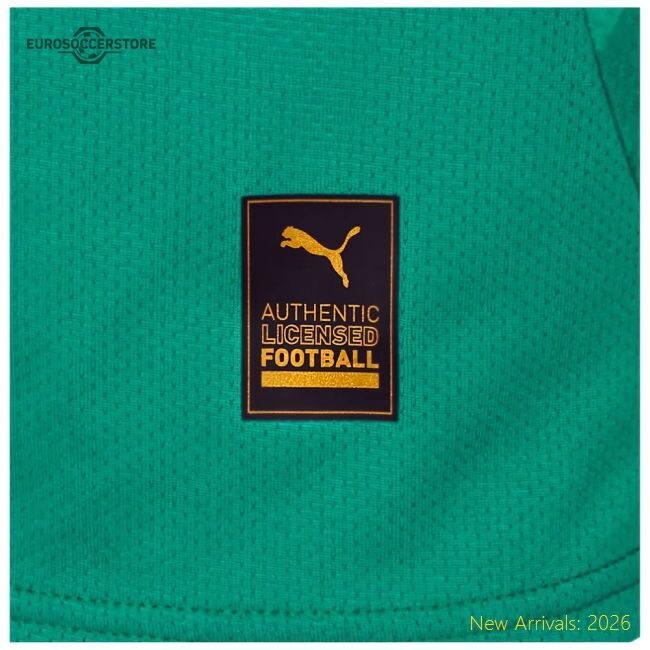 2024-2025 Plymouth Argyle Home Shirt - Excellent Value - Premium Quality