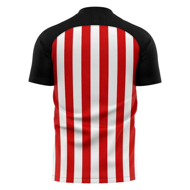 2025-2026 Sunderland Home Concept Football Shirt - Womens