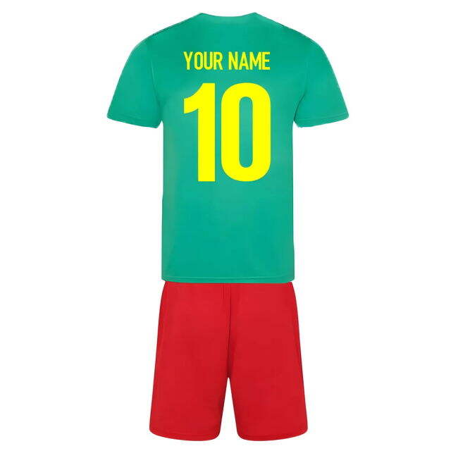 Match Worn Style Cameroon Pro Appearance Training Pro Level Shirt
