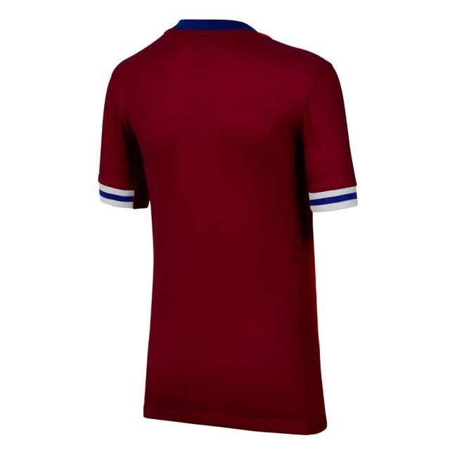 Kids Professional Style Norway Home Pro Level Shirt 2024-2025