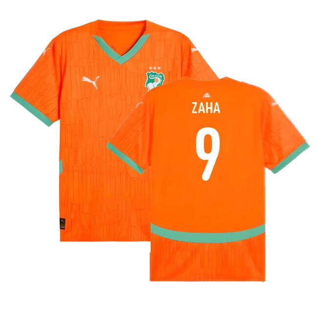 Professional Style Ivory Coast Home Player Jersey 2024-2025