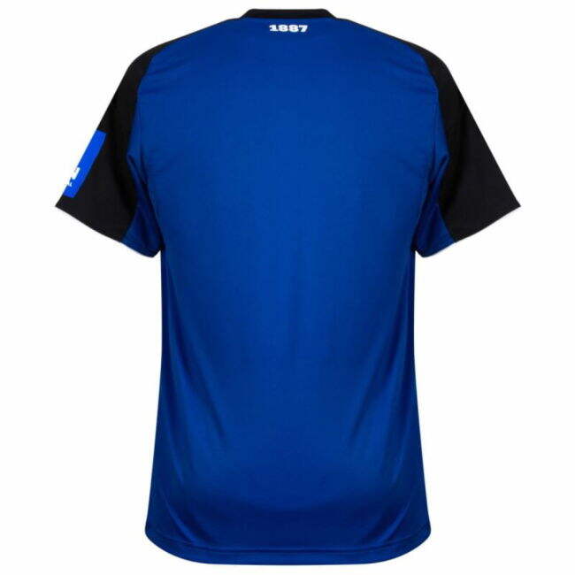 Hamburg SV 2025-2026 Away tee - breathable and modern v2.715