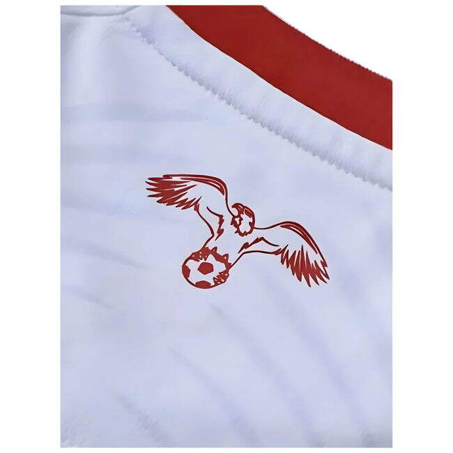 2024-2025 Jordan NT Home Uniform