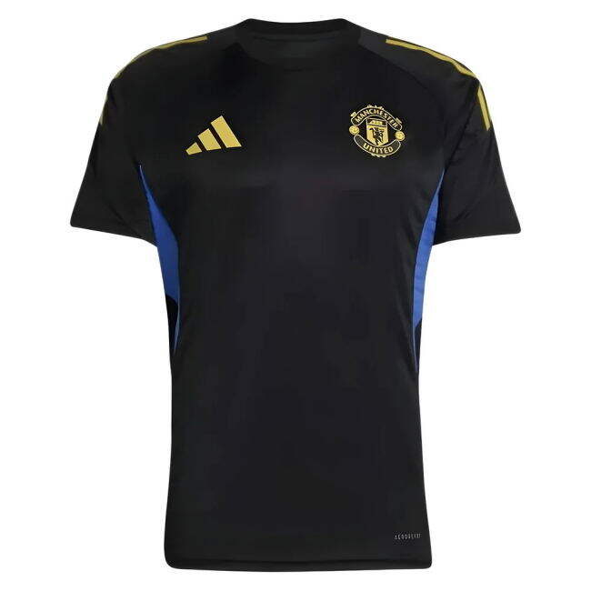 2025-20 Man Utd timeless Third Football Shirt | premium