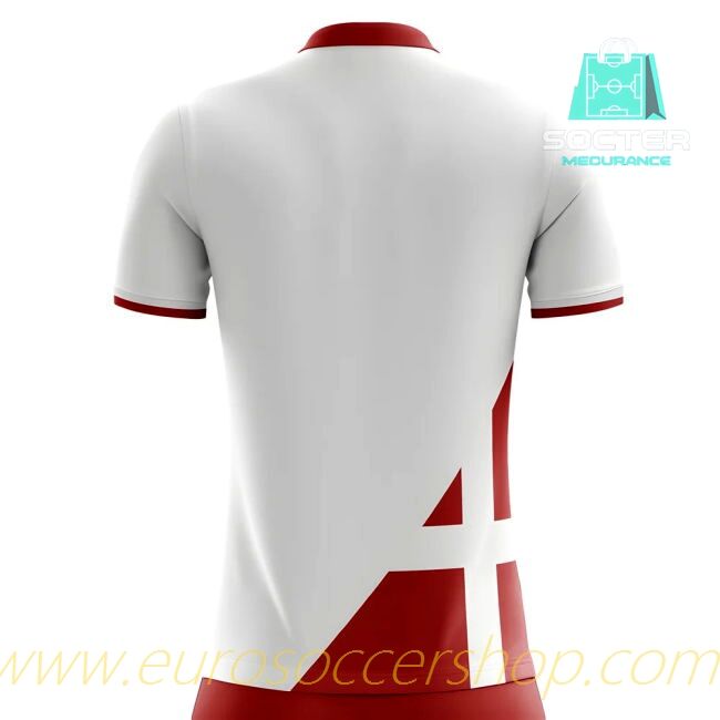 2025-26 Edition Player Version Hero Shirts Away Jersey Libero Collection (Schmeichel 1)