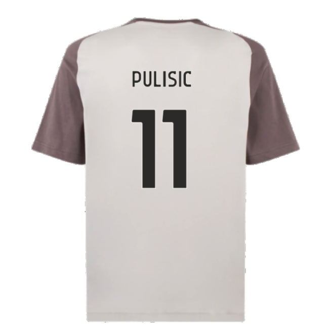 High Quality Match Quality True Acm Pulisic #11 Fresh Look Jersey