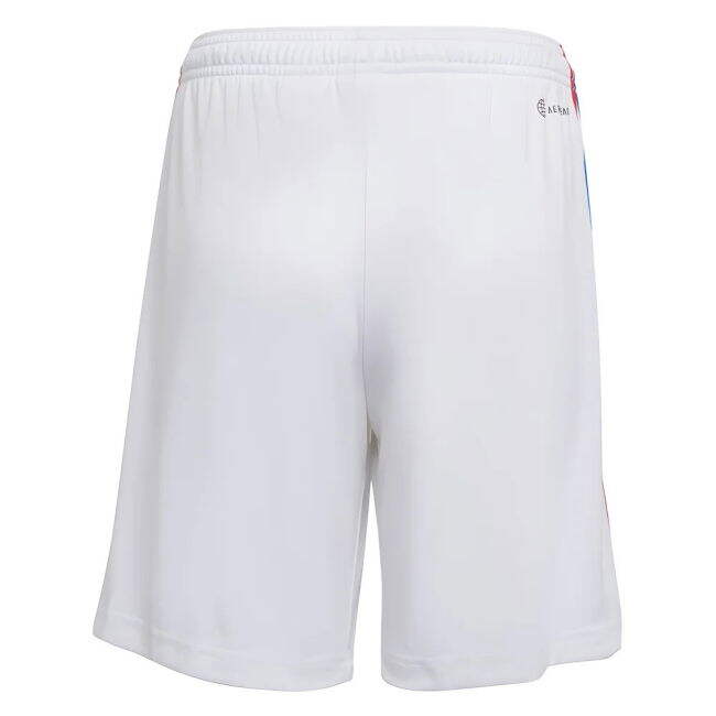 Lyon Economical Vintage Official Merchandise Licensed Product (v2)