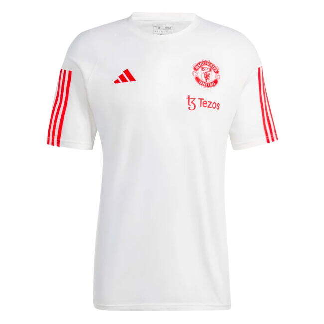 2023-2024 Man Utd Training Tee (White) (V Nistelrooy 10)