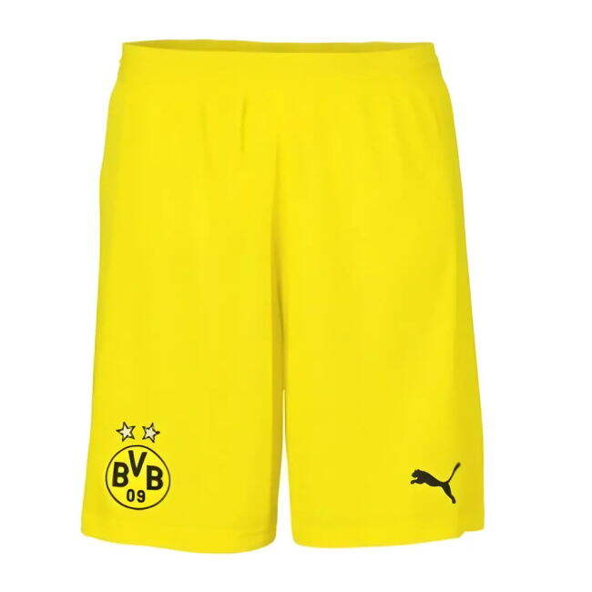 Borussia Dortmund Pro Home Jersey 2018-2019