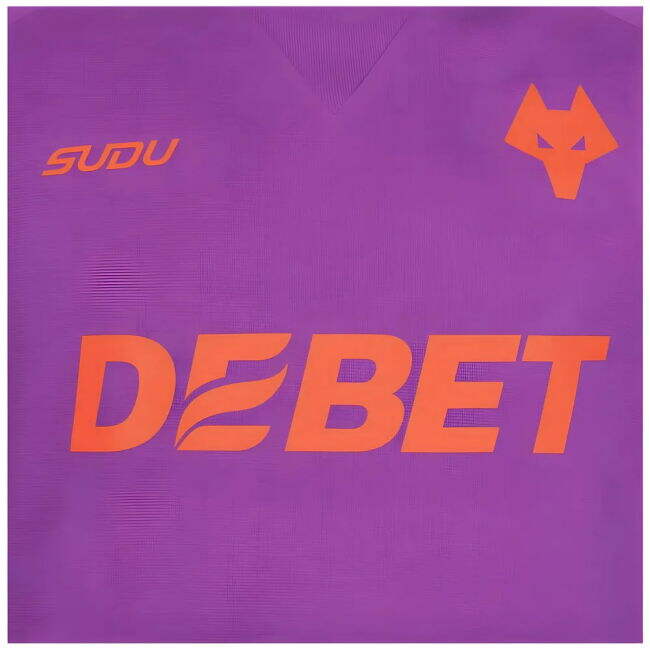 Moisture-Wicking Fashionable - 2024-2025 WOL Third Match Jersey A#806