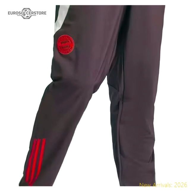 Excellent 2024-2025 Bayern Munich Presentation Pants (shadow Maroon)