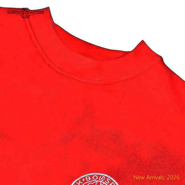 Premium Denmark 2024-2025 Official Regular Shirt Movement