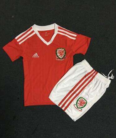 Kids Wales Euro 2016 Away Soccer KitShirtShorts - Official Replica
