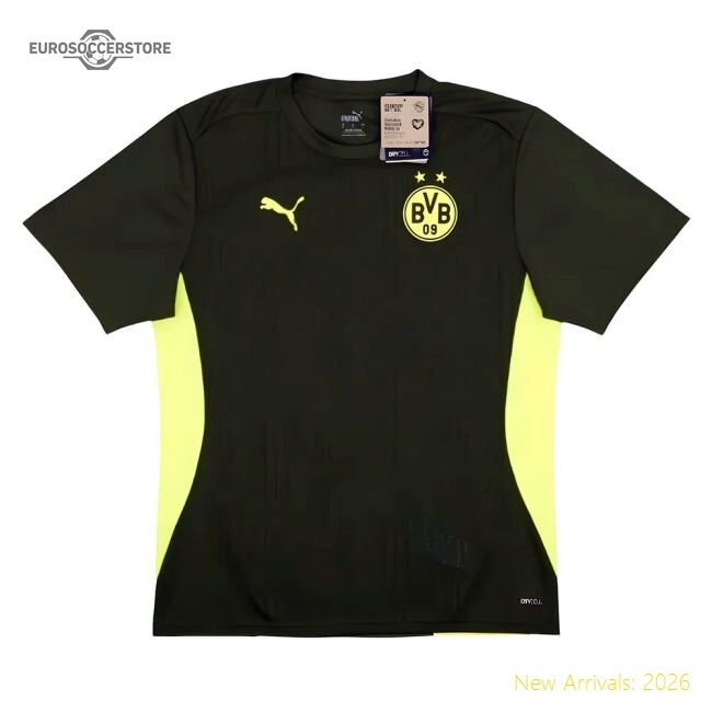 Premium 2024-2025 Borussia Dortmund Training Shirt (myrtle)