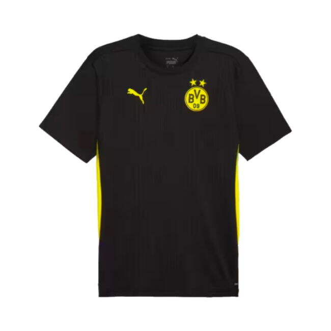 Borussia Dortmund Pro Jersey 2024-2025