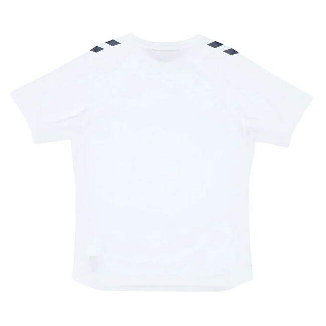 Denmark First Team Elite Quality Training Professional Jersey