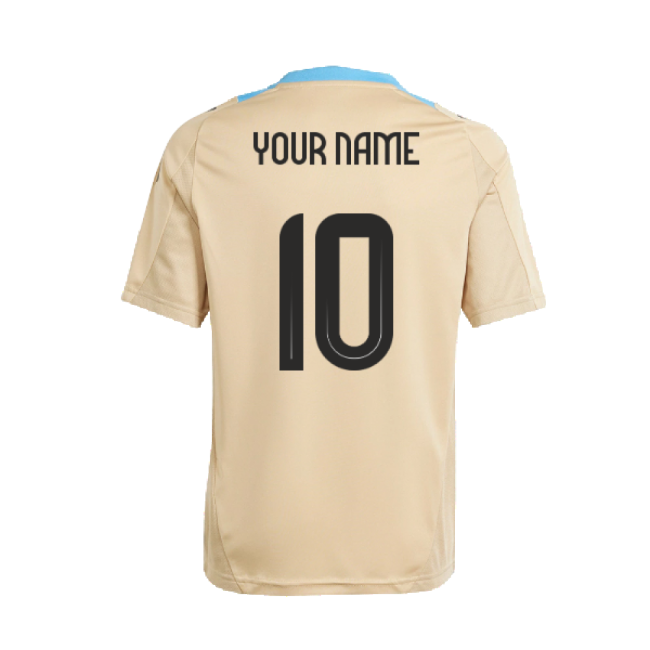 2025 Edition Lightweight Argentina Training Match Shirt
